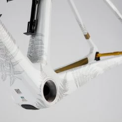 Chapter2 TOA Caitlin Fielder Artist Edition Disc Frameset -Glory Cycles Store Online IMG 6765 02534.1652577235