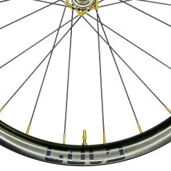 Gulo Composites Gulo Gravel Aero Wheelset -Glory Cycles Store Online Studio Session Gulo5 1439 Edit Edit Edit 77486.1639082818