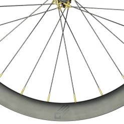 Gulo Composites Gulo Road Aero Wheels 18 Gulo Composites Gulo Road Aero Wheels -Glory Cycles Store Online Studio Session Gulo5 1729 Edit Edit 50823.1639082470